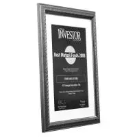 best_mutual_fund_investor_1_trim_dana_stabil_2008_1