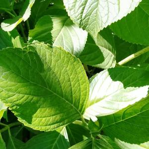 584551413_18070388312602220_4418082626427457357_n